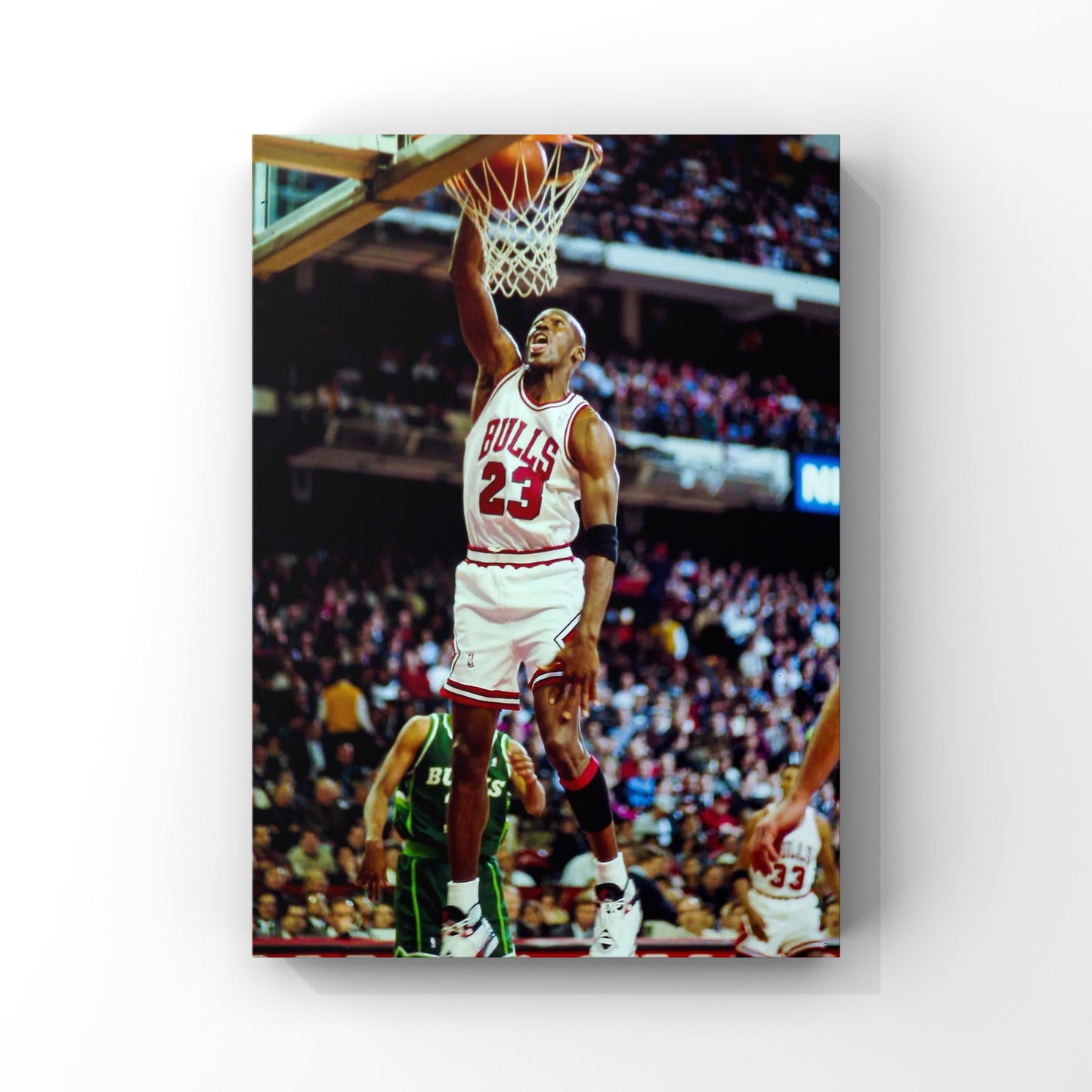 Michael Jordan unsigned poster